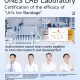UNES Hyaluronic Acid Ice Skin Refreshing Mask