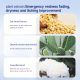 UNES YEAST REPAIR MASK