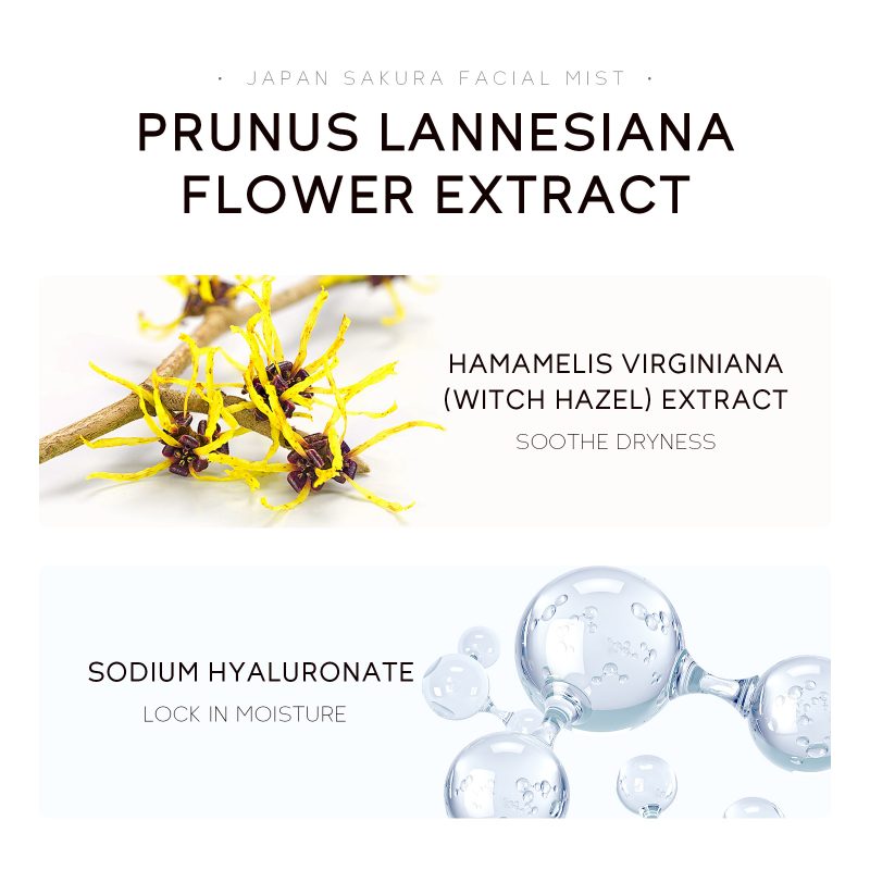 SEYE Sakura Face Toner