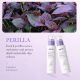 SEYE Polypeptide Perilla Toner