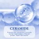 SEYE Ceramide Set