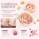 SEYE Camellia Toner