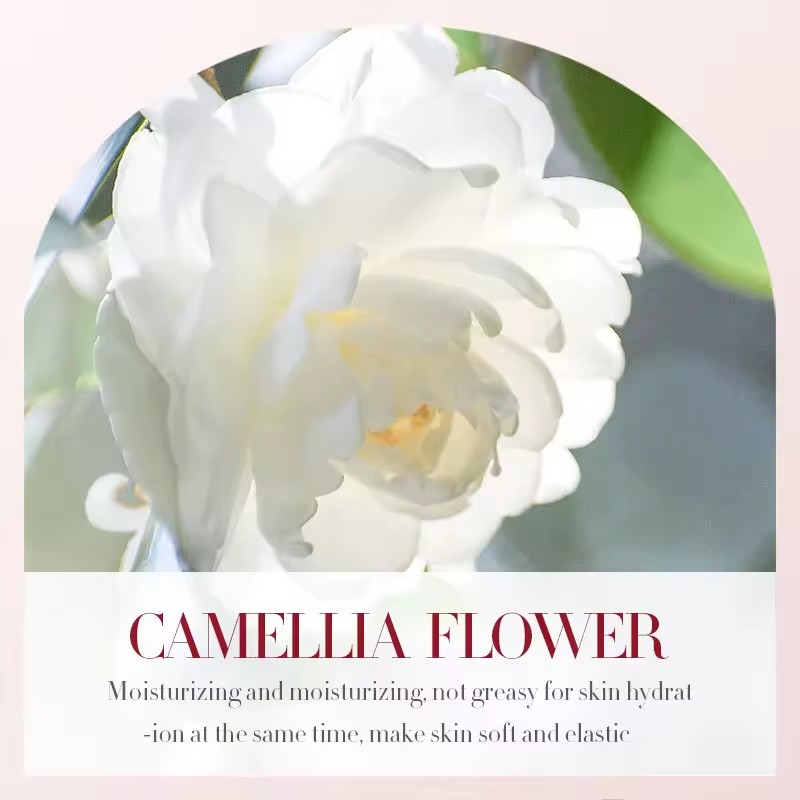 SEYE Camellia Essential Oil