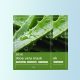 SEYE Aloe Face Mask