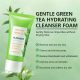 SEYE Green Tea Cleanser