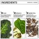 SEYE Green Tea Face Cleanser